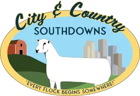 City & Country Southdowns Logo - Every flock begins somewhere